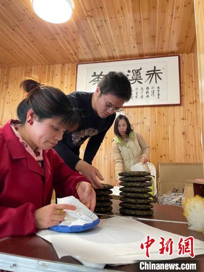 資料圖：杜贏(左二)在整理白茶餅?！×执阂?攝